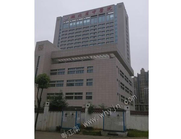 湖北光谷中醫院項目